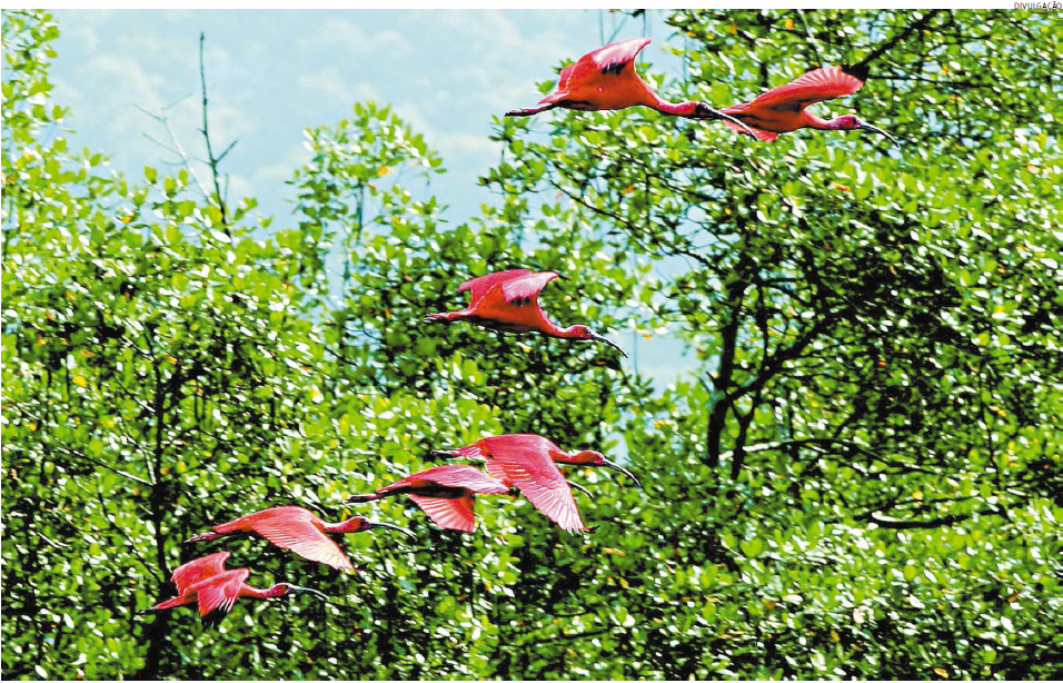 Polo garante ações de controle ambiental